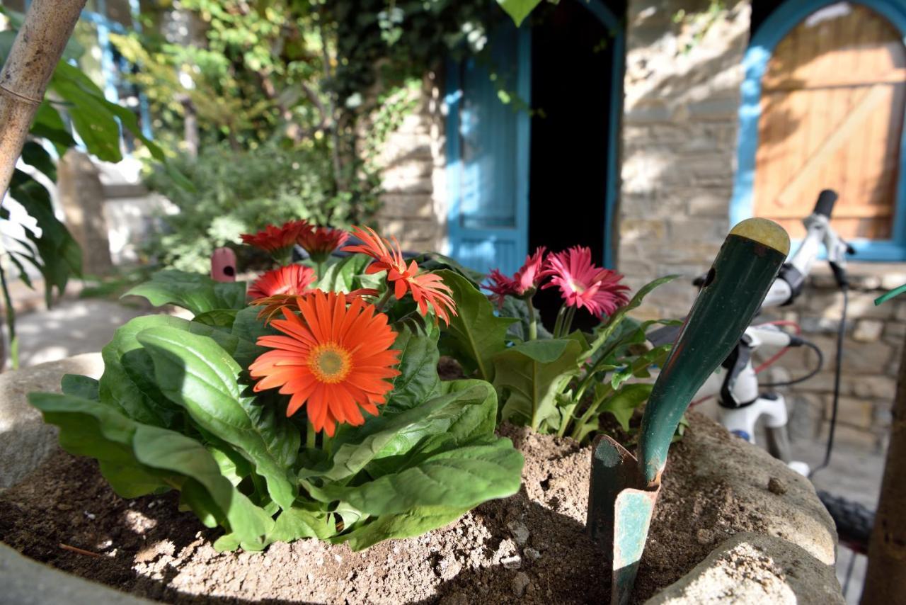 Andrebyke Villa Gergei Dış mekan fotoğraf